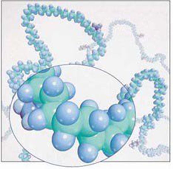 �۱�ϩ������ճ������